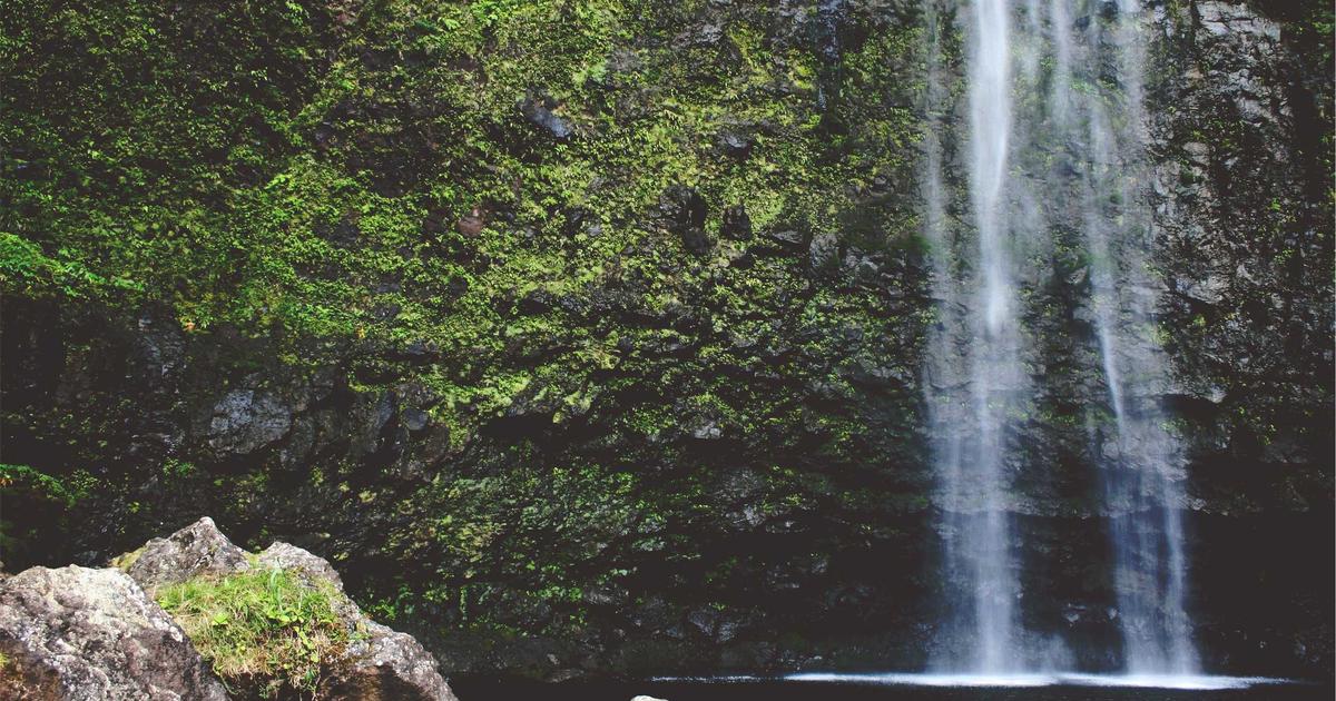 深入剖析 WPS PDF工具的强大功能 - 高级使用技巧与实用方法 - WPS PDF工具